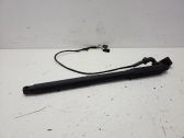 Tailgate/trunk strut/damper