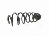 Rear coil spring