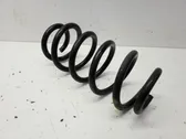 Front coil spring