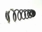 Rear coil spring