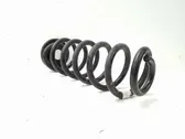 Rear coil spring