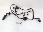 Front door wiring loom