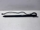 Tailgate/trunk strut/damper