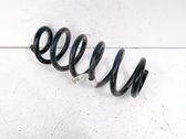 Rear coil spring
