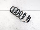 Rear coil spring