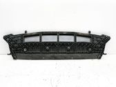 Placa protectora/plataforma del parachoques delantero