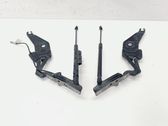 Engine bonnet/hood hinges