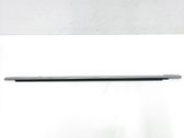 Front door glass trim molding