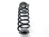 Rear coil spring
