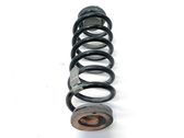 Rear coil spring