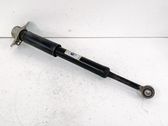 Rear shock absorber/damper