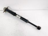 Rear shock absorber/damper