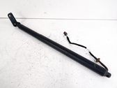 Tailgate/trunk strut/damper