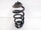 Muelle espiral trasero