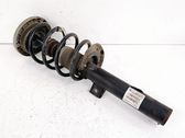Front shock absorber/damper