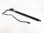 Tailgate/trunk strut/damper