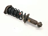 Stoßdämpfer hinten