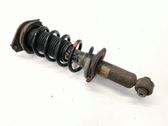Stoßdämpfer hinten