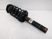 Front shock absorber/damper