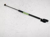 Tailgate/trunk strut/damper