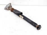 Rear shock absorber/damper