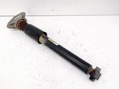 Rear shock absorber/damper