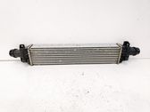 Intercooler radiator