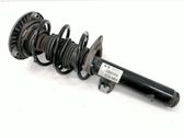 Front shock absorber/damper