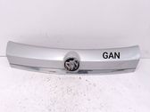 Trunk door license plate light bar