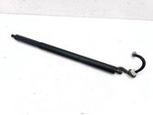 Tailgate/trunk strut/damper