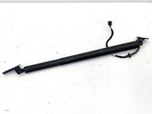 Tailgate/trunk strut/damper