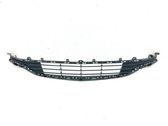 Front bumper lower grill