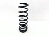 Rear coil spring