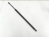 Tailgate/trunk strut/damper