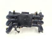 Intake manifold