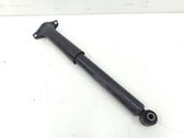 Rear shock absorber/damper