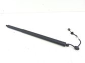 Tailgate/trunk strut/damper