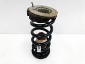 Rear coil spring