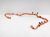 Other wiring loom