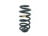 Muelle espiral trasero