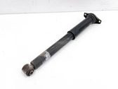 Rear shock absorber/damper