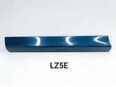 Front door trim (molding)