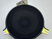 Rear door speaker