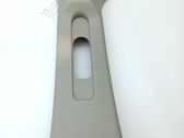 (B) pillar trim (top)