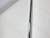Front door trim (molding)