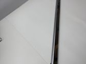 Front door trim (molding)