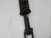 Front shock absorber with coil spring