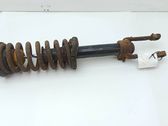 Front shock absorber with coil spring