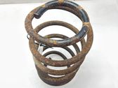 Rear coil spring