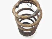 Rear coil spring